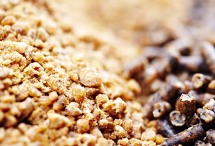 Processors to benefit from cheap chicken feed