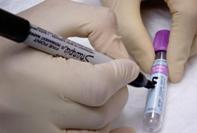 NL: Ban animal drug sales by vets