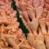 US bird flu, trump card in Russian WTO negotiations