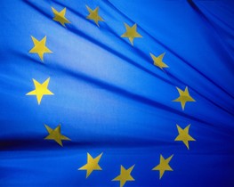 Ukraine struggles to access EU poultry market