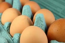 NPE launches a food industry’s first
