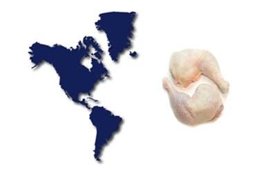 Brazil Foods aims to expand in the US
