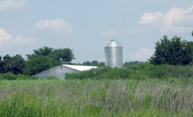 Plants improve overall environment at farms