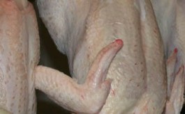 ARS: System detects poultry contamination