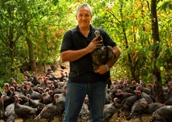 UK: Shortage of traditional Christmas turkeys