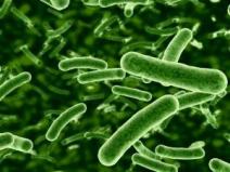 Resistance not just caused by antibiotics misuse