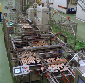 Egg refilling station receives 3-star award