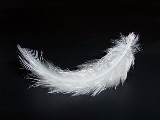 China: Duck, goose feather industry recovering