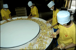 Yuhe continues expanding day-old-chick production