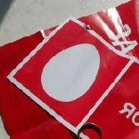 Eggs or phones: logo confusion in Russia