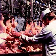 Poultry plant closure marks the end of an era