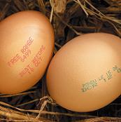 Ben & Jerry’s chooses cage-free eggs