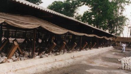 Affordable alternatives in poultry housing