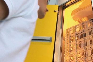 The hatchery of the future