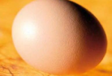 Return of the good egg