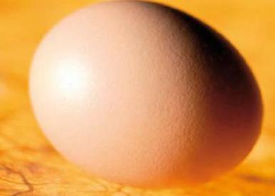 Return of the good egg