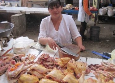 High investments in Peru’s poultry sector