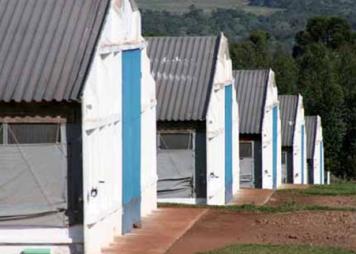 Brazil’s poultry industry begins to recover