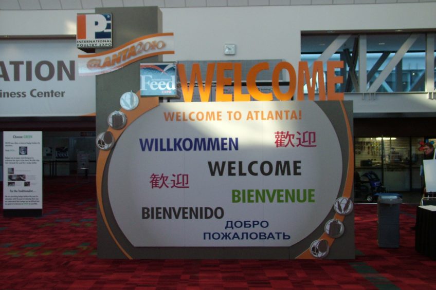IPE 2010