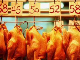 China to impose steep duty on US poultry