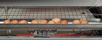 A total of 25,000,000 bird places equipped with Big Dutchman NATURA aviaries for organic, free-range and barn egg systems