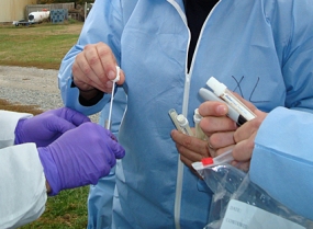 AVMA tackles veterinary shortage with new program