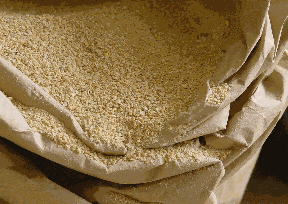 AFBI studies lupins in poultry diets