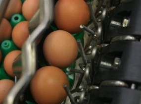 Moba introduces high-speed farm packing