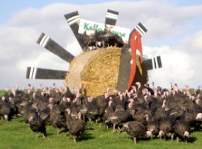 Easier to become a KellyBronze Farmer