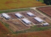 US aims to cut gas emissions from livestock operations