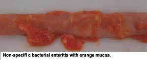 Complex causes need broad prevention and treatment