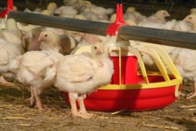 New treatment options against surging ILT
