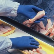 Poultry declared safe after toxin scare