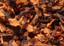 Tobacco instead of chicken eggs for vaccine production