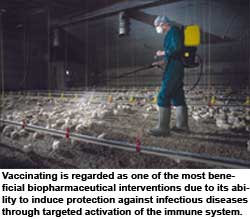 Poultry health – looking ahead to 2034
