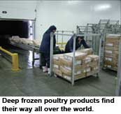 Shifts and patterns in global poultry meat trade