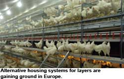 Future prospects for the European egg industry