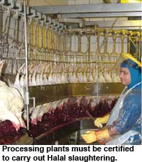 Halal slaughtering is gaining ground