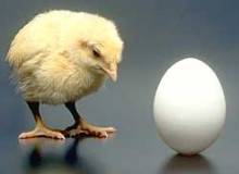 Cracked: The chicken came before the egg