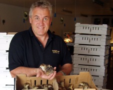 Demand for ‘genuinely better’ Christmas turkeys spurs growth