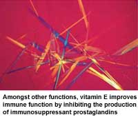 Broiler diets demand balanced vitamin supplementation