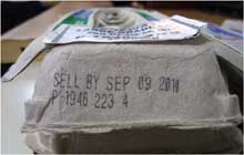 Salmonella outbreak forces Wright County Egg recall of shell eggs