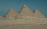 Egyptian woman falls victim to bird flu