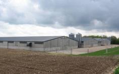 Hubbard: New grand parent complex as UK growth continues