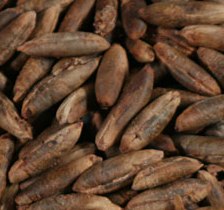 Date pits in battle for drug-free chicken meat