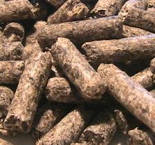 Research: Oat hulls and beet pulp for broilers