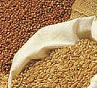 US livestock markets respond to higher feed costs