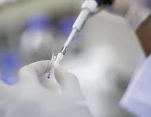 Research: Live bird markets are ‘resevoir’ for avian influenza