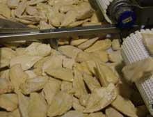 US Senate bill would limit entry of China poultry
