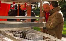 Ska dealer convention focuses on EU deadline for cages